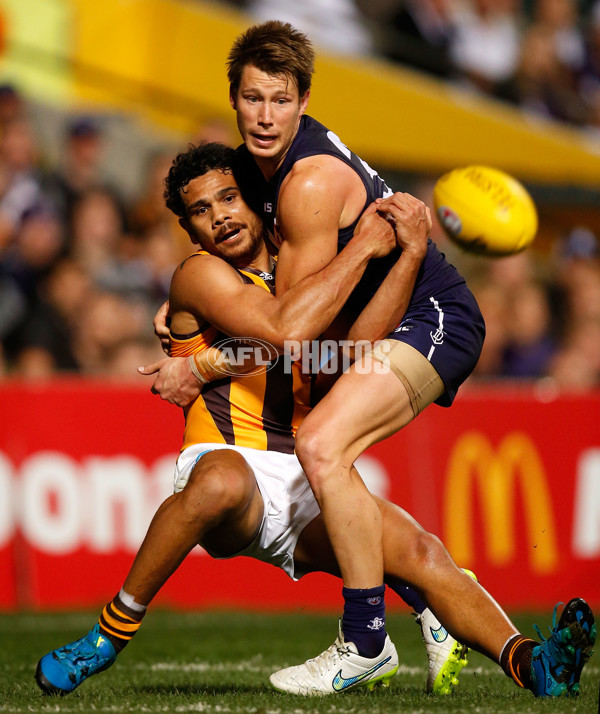 AFL 2015 First Preliminary Final - Fremantle v Hawthorn - 405655