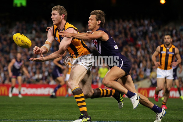 AFL 2015 First Preliminary Final - Fremantle v Hawthorn - 405635