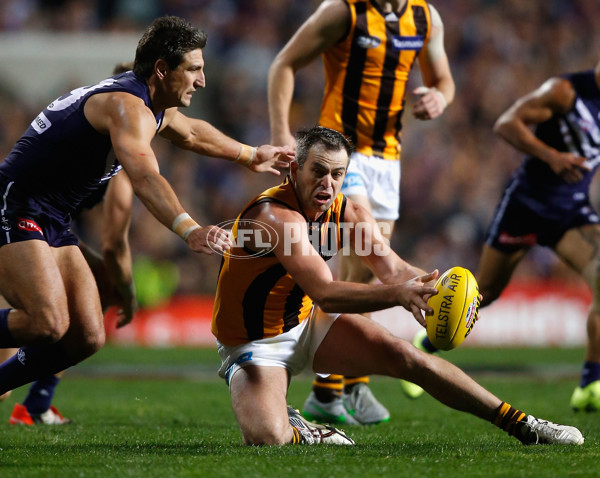 AFL 2015 First Preliminary Final - Fremantle v Hawthorn - 405588