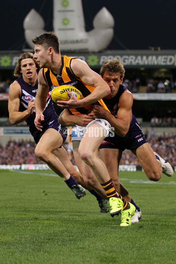 AFL 2015 First Preliminary Final - Fremantle v Hawthorn - 405601