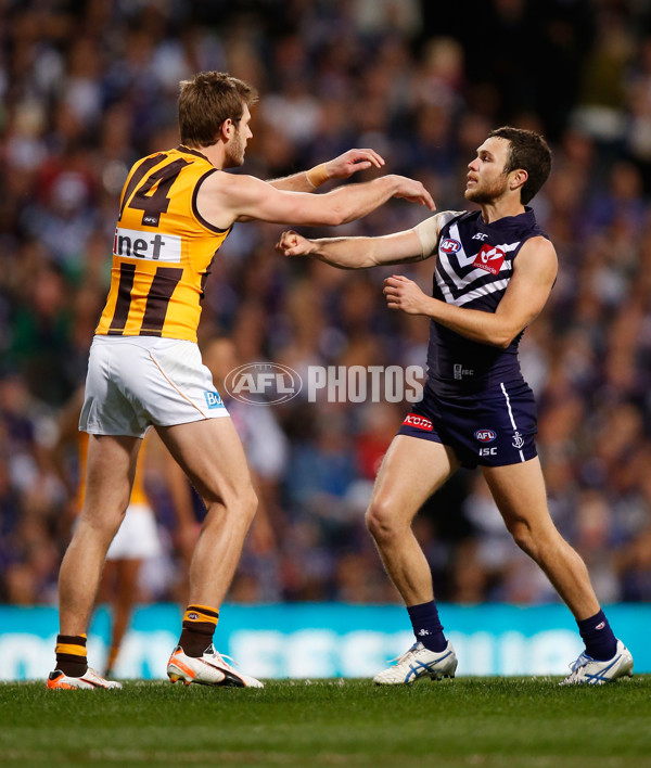 AFL 2015 First Preliminary Final - Fremantle v Hawthorn - 405669