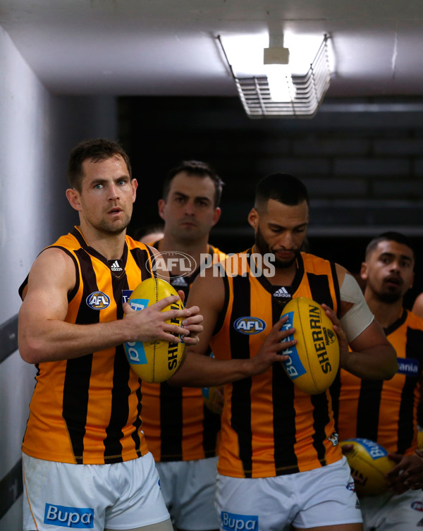 AFL 2015 First Preliminary Final - Fremantle v Hawthorn - 405672