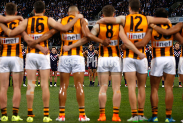 AFL 2015 First Preliminary Final - Fremantle v Hawthorn - 405678