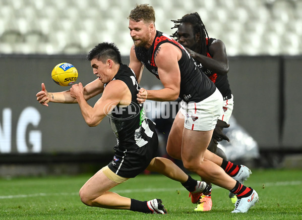 AFL 2020 Round 05 - Collingwood v Essendon - 758895