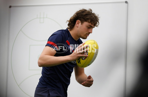 AFL 2021 Grand Final - Melbourne v Western Bulldogs - 892382