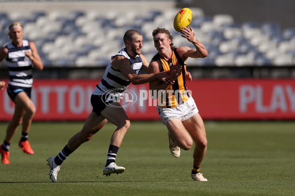 Geelong v Hawthorn - AFL Match Simulation - A-843353