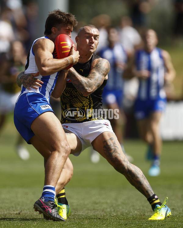 North Melbourne v Richmond - AFL Match Simulation - A-848990