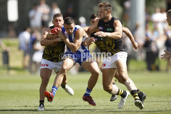 North Melbourne v Richmond - AFL Match Simulation - A-850634