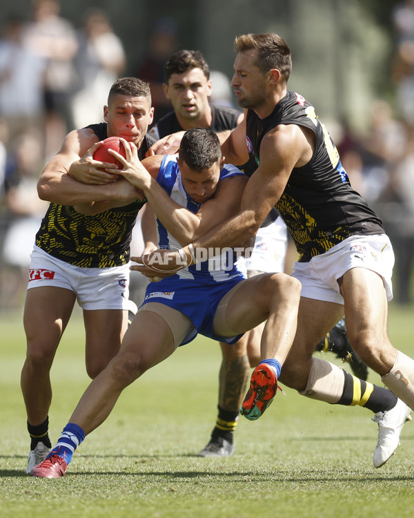 North Melbourne v Richmond - AFL Match Simulation - A-850637