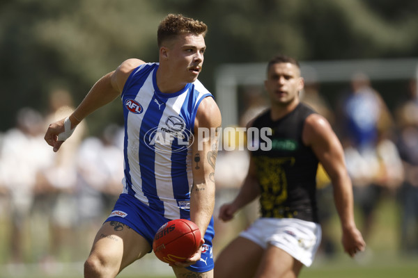 North Melbourne v Richmond - AFL Match Simulation - A-850640