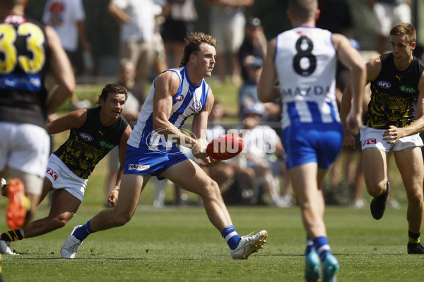 North Melbourne v Richmond - AFL Match Simulation - A-850659