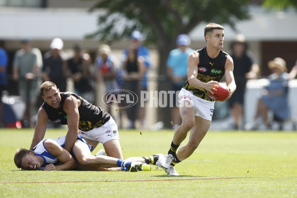 North Melbourne v Richmond - AFL Match Simulation - A-850661