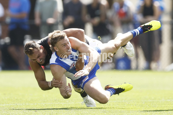 North Melbourne v Richmond - AFL Match Simulation - A-850662