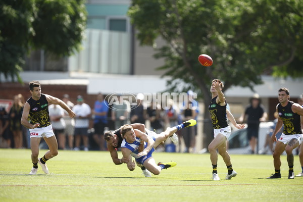 North Melbourne v Richmond - AFL Match Simulation - A-853240