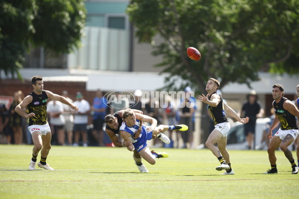 North Melbourne v Richmond - AFL Match Simulation - A-853244