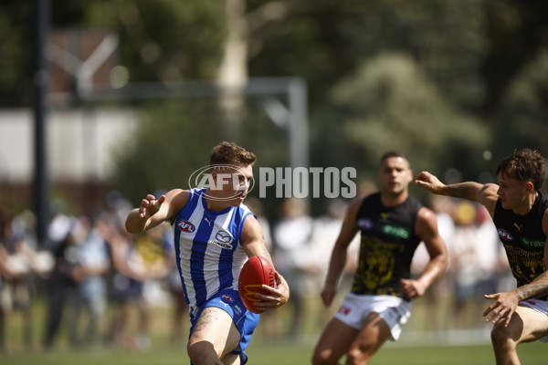 North Melbourne v Richmond - AFL Match Simulation - A-855104