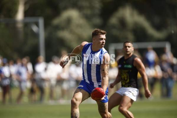 North Melbourne v Richmond - AFL Match Simulation - A-855108