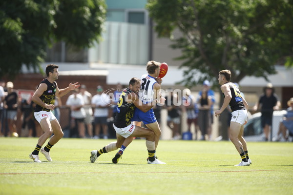 North Melbourne v Richmond - AFL Match Simulation - A-855124