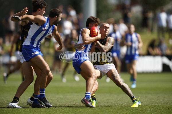 North Melbourne v Richmond - AFL Match Simulation - A-855133