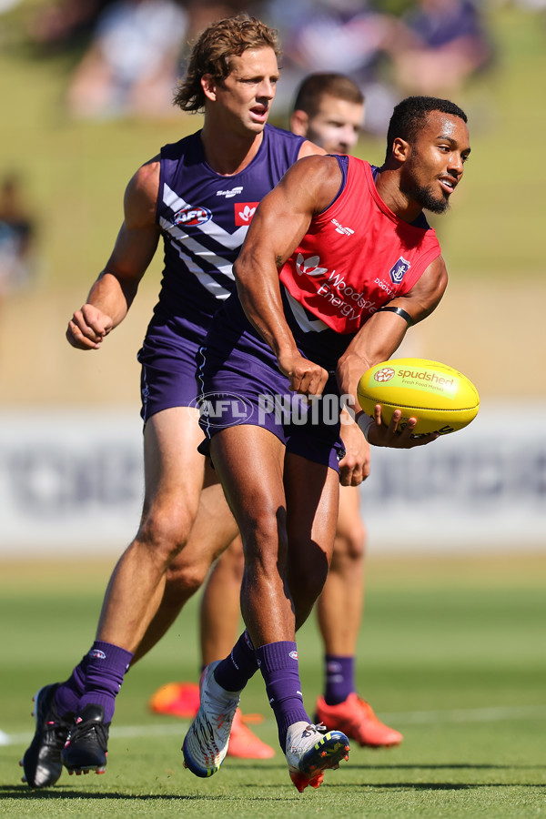 Fremantle v Adelaide - AFL Match Simulation - A-856362