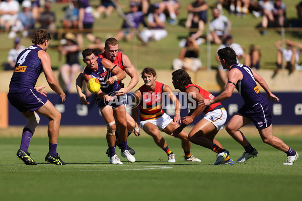 Fremantle v Adelaide - AFL Match Simulation - A-856371