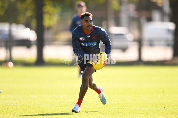 Melbourne Demons Training Session - A-896874