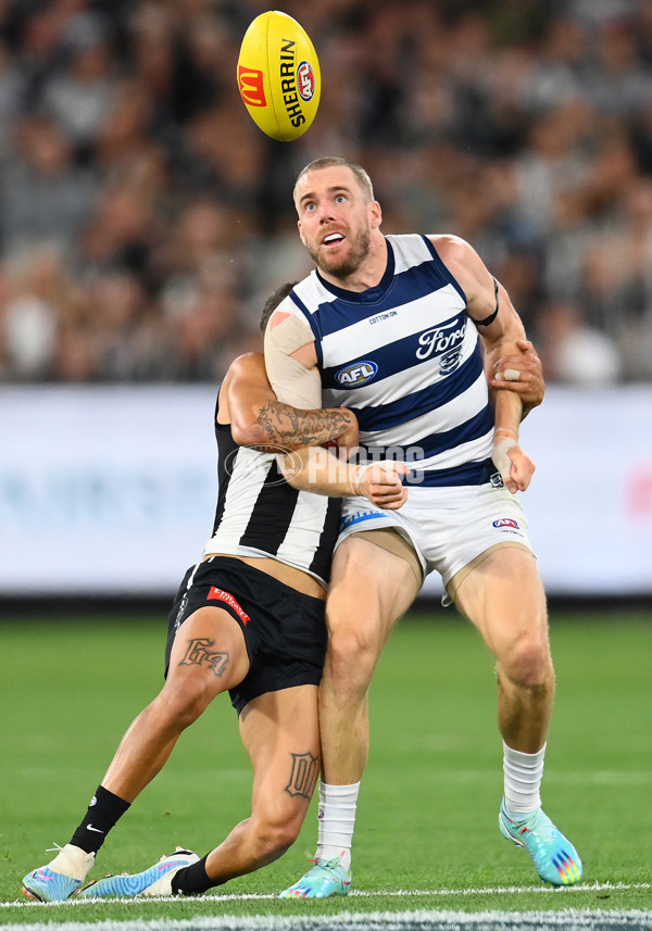 AFL Rd 1 - Geelong v Collingwood - A-899780