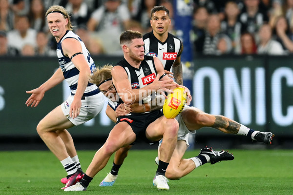 AFL Rd 1 - Geelong v Collingwood - A-899784