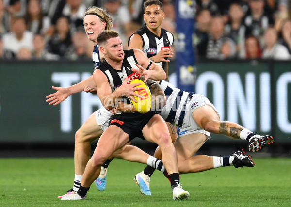 AFL Rd 1 - Geelong v Collingwood - A-899785