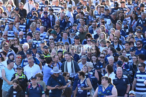 AFL Rd 1 - Geelong v Collingwood - A-899958