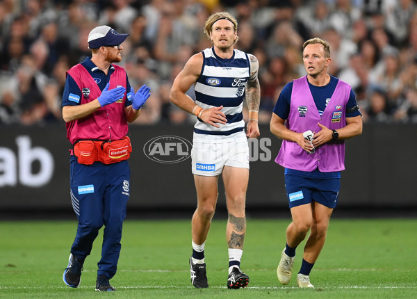 AFL Rd 1 - Geelong v Collingwood - A-899983