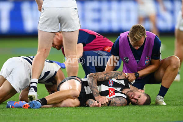 AFL Rd 1 - Geelong v Collingwood - A-902657