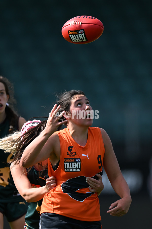 Coates Talent League Girls Rd 1 - Tasmania Devils v GWS Giants Academy - A-902928