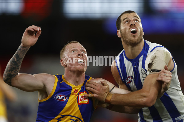 AFL Rd 1 - North Melbourne v West Coast - A-905441