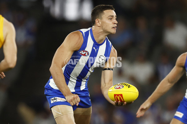 AFL Rd 1 - North Melbourne v West Coast - A-906145