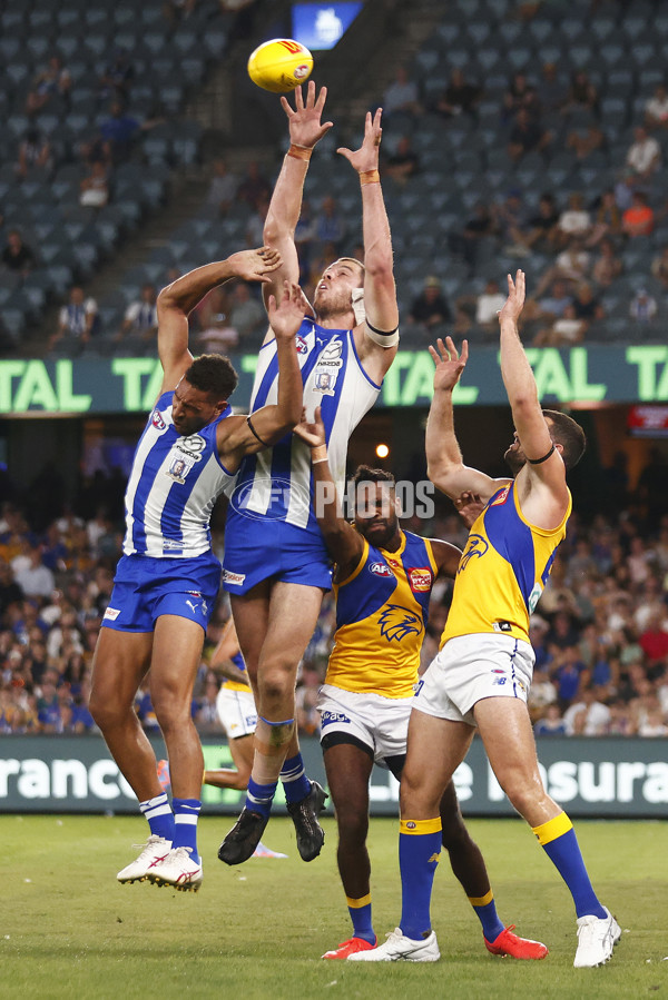 AFL Rd 1 - North Melbourne v West Coast - A-908092