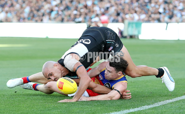 AFL Rd 1 - Port Adelaide v Brisbane - A-911210