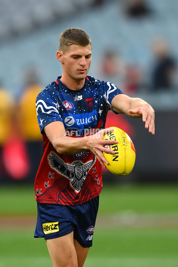 AFL Rd 1 - Melbourne v Western Bulldogs - A-914135