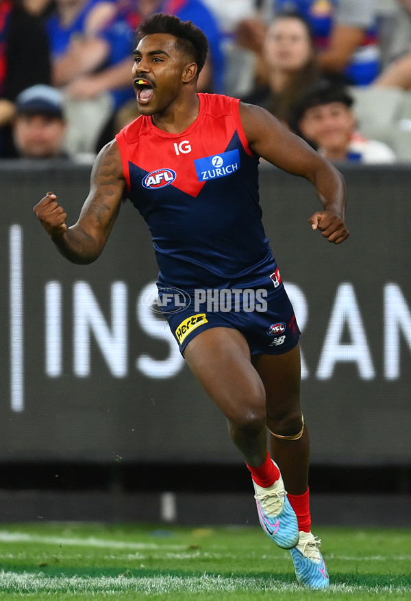 AFL Rd 1 - Melbourne v Western Bulldogs - A-922891