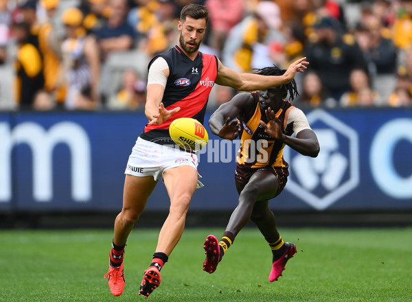 AFL Rd 1 - Hawthorn v Essendon - A-935728