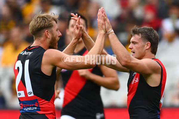 AFL Rd 1 - Hawthorn v Essendon - A-938597