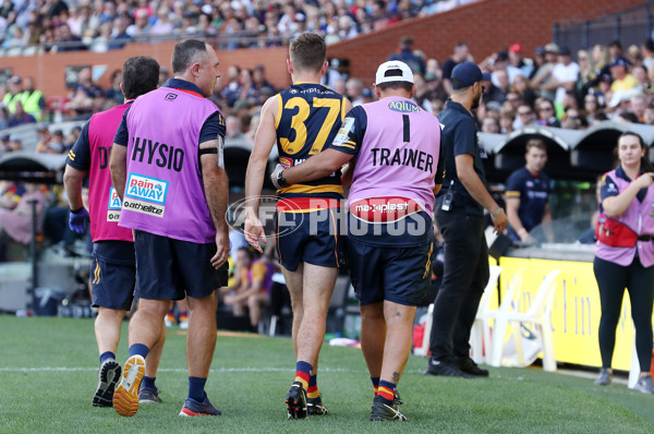 AFL Rd 2 - Adelaide v Richmond - A-972319