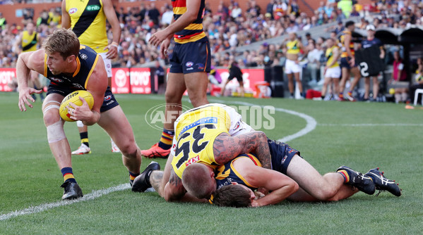 AFL Rd 2 - Adelaide v Richmond - A-973680