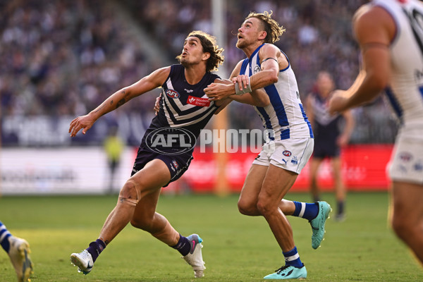 AFL Rd 2 - Fremantle v North Melbourne - A-982622