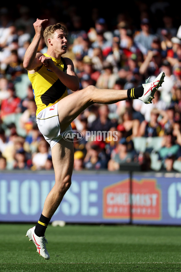 AFL Rd 2 - Adelaide v Richmond - A-988322