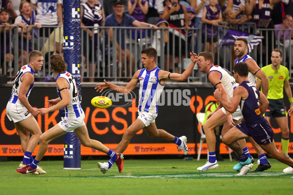 AFL Rd 2  - Fremantle v North Melbourne - A-993882