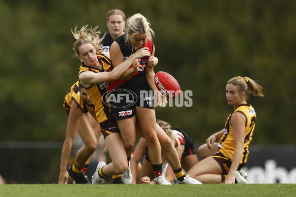 VFLW Rd 1 - Essendon v Box Hill Hawks - A-996751