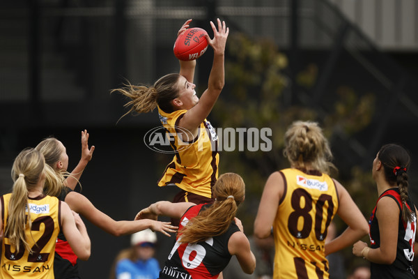 VFLW Rd 1 - Essendon v Box Hill Hawks - A-996763