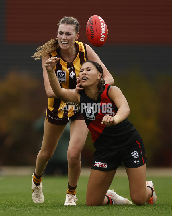 VFLW Rd 1 - Essendon v Box Hill Hawks - A-999650