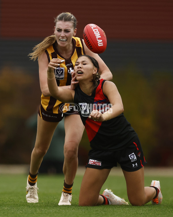 VFLW Rd 1 - Essendon v Box Hill Hawks - A-999651